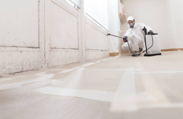 24/7 Emergency Black Mold Removal experts in Harrington Park, NJ