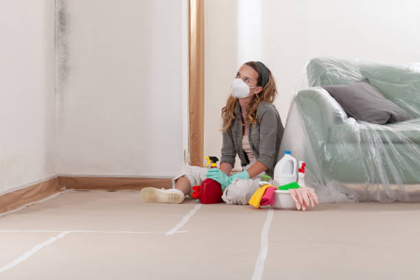 Reliable Black Mold Removal contractor in Harrington Park, NJ by WQB Mold Removal